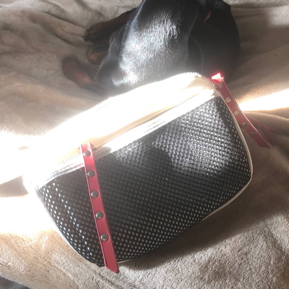 Fanny pack